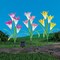 Collections Etc Solar Powered Richly-Colored Lily Stakes - Set of 3